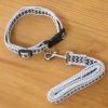 Correa Y Collar Para Mascota