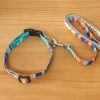 Correa Y Collar Para Mascota -2 Pzs