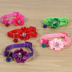 Collar Con Campana Para Mascota