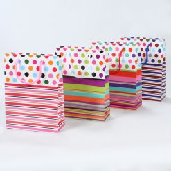 Bolsa De Regalo Grande Colores