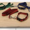 Collar Y Correa Para Mascota 16