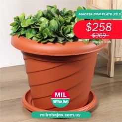 Maceta Con Plato 29,5