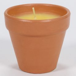 Vela Repelente Contra Mosquitos 7