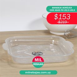 Bandeja Acrílica Con Asas PH 28,5x28,5