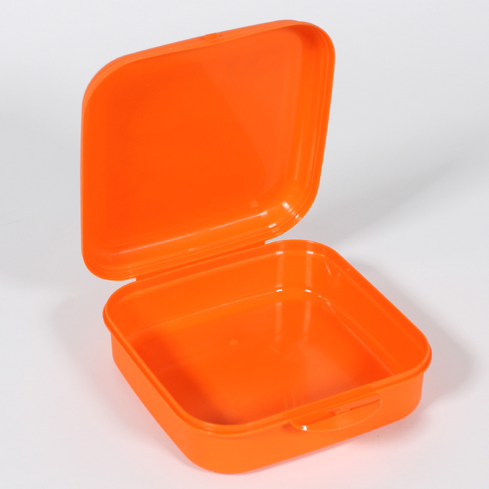 Envase Plástico Para Sándwich Dinosaurios - Imagen 2