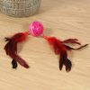 Juguete Para Mascota Pluma