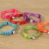 Collar Para Gato Colores
