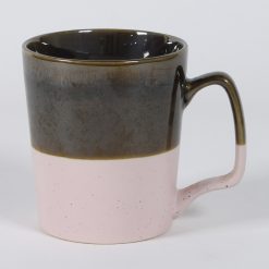 Alternative view of Taza Bicolor