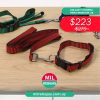 Collar Y Correa Para Mascota 16