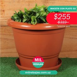 Maceta Con Plato 33